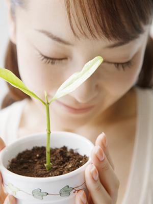 サロン関係者用に販売しているサイトです